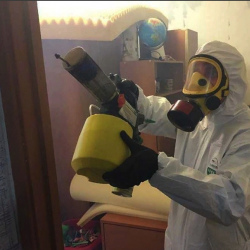 Уничтожение клопов в квартире. Балашов